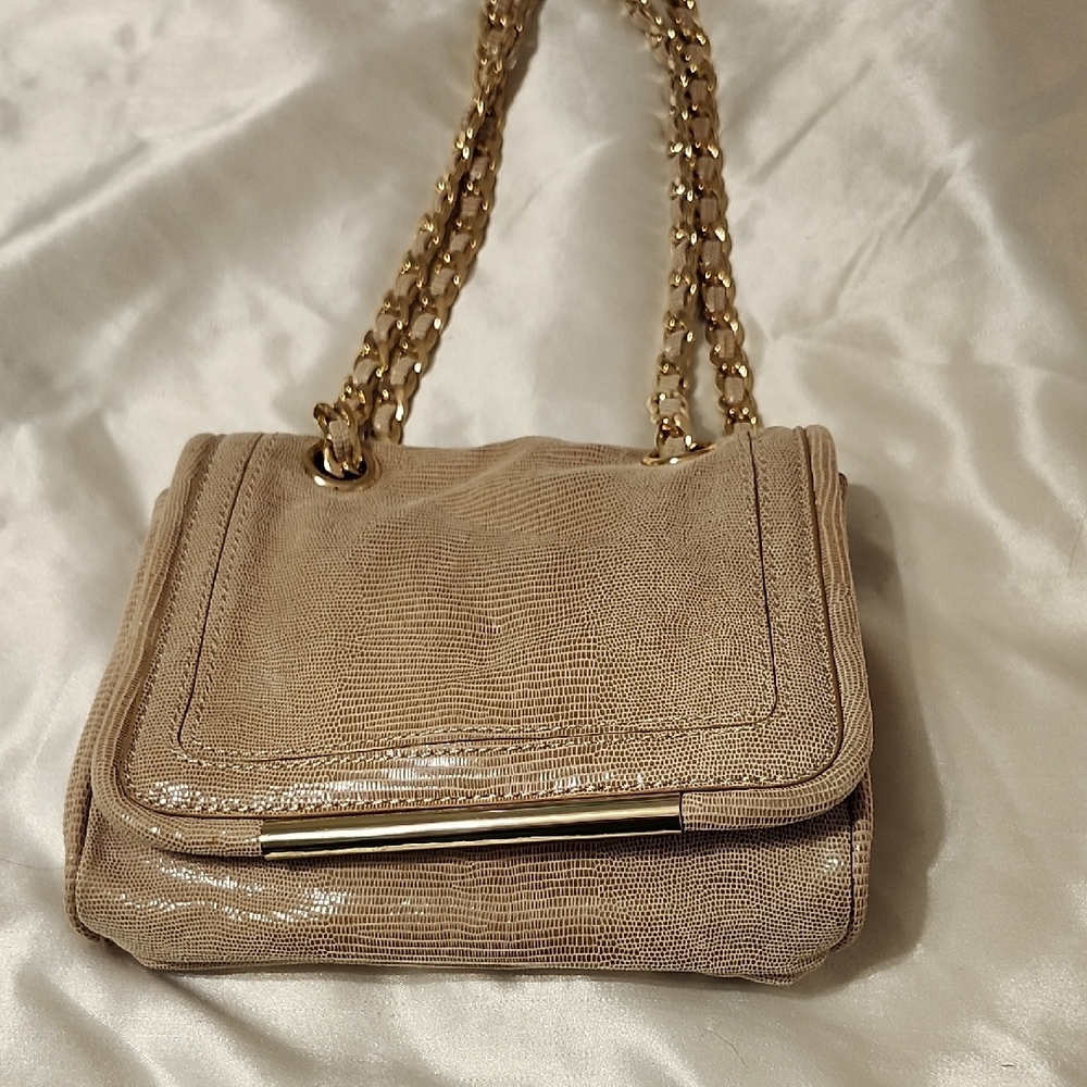 Ann Taylor Tan Chain Strap Women's Bag